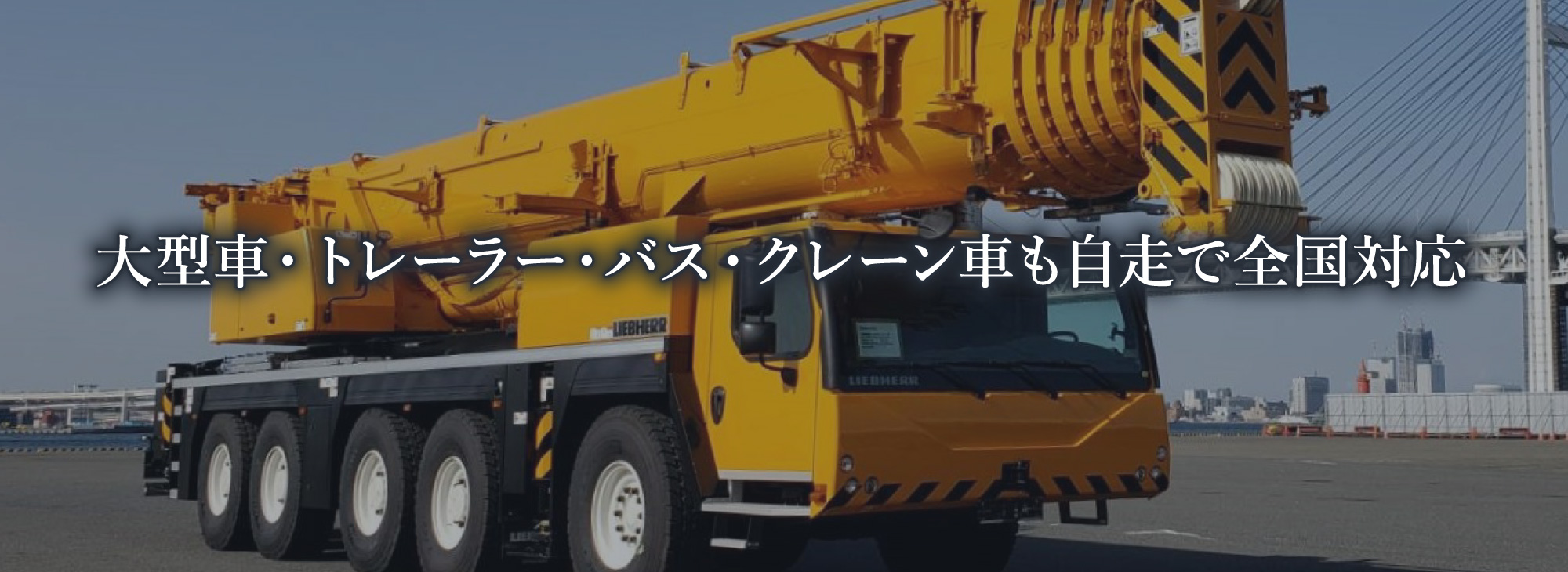 納車紹介